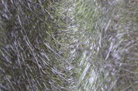 Anelog fibreglass roof work